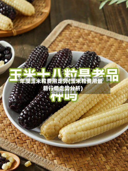 年度玉米粒费用走势(玉米粒费用最新行情走势分析)