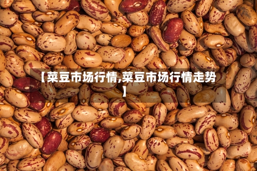 【菜豆市场行情,菜豆市场行情走势】