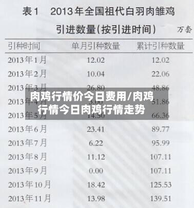 肉鸡行情价今日费用/肉鸡行情今日肉鸡行情走势