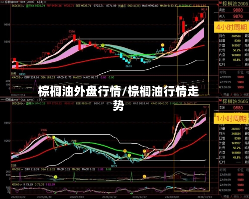 棕榈油外盘行情/棕榈油行情走势