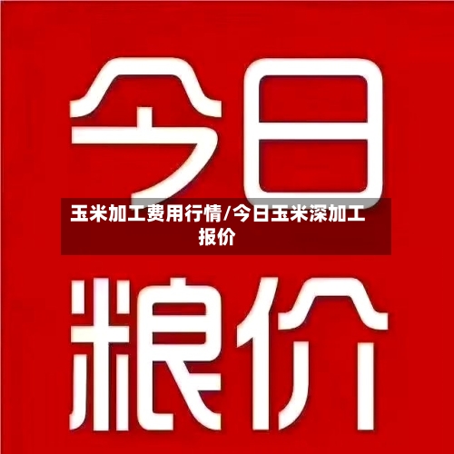 玉米加工费用行情/今日玉米深加工报价
