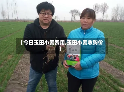 【今日玉田小麦费用,玉田小麦收购价】