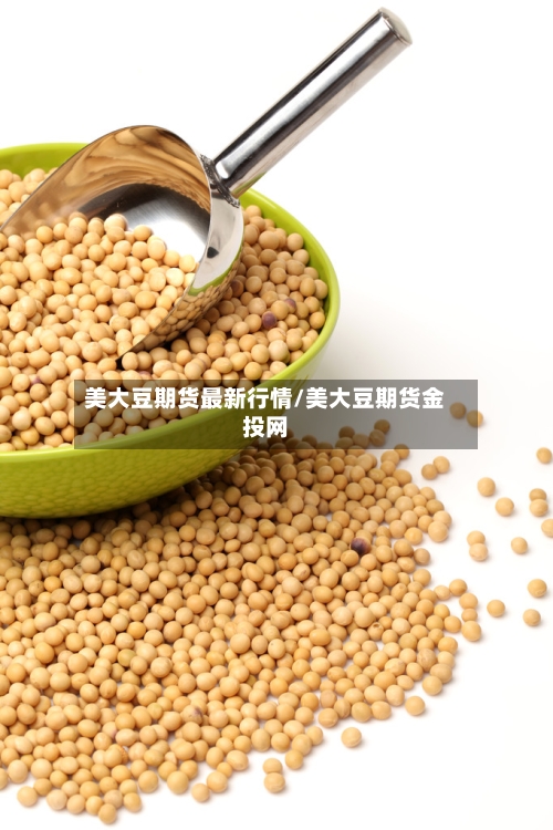 美大豆期货最新行情/美大豆期货金投网