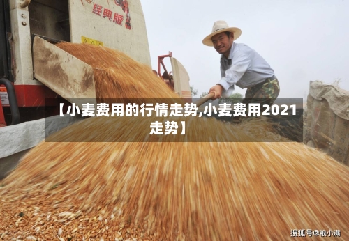 【小麦费用的行情走势,小麦费用2021走势】