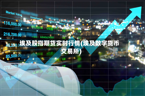 埃及股指期货实时行情(埃及数字货币交易所)