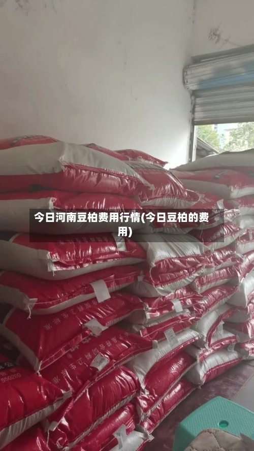 今日河南豆柏费用行情(今日豆柏的费用)