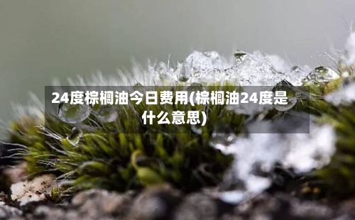 24度棕榈油今日费用(棕榈油24度是什么意思)