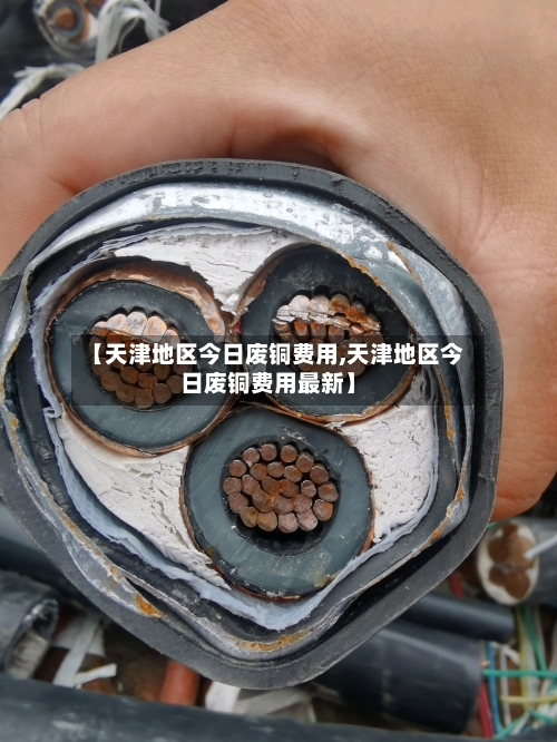 【天津地区今日废铜费用,天津地区今日废铜费用最新】