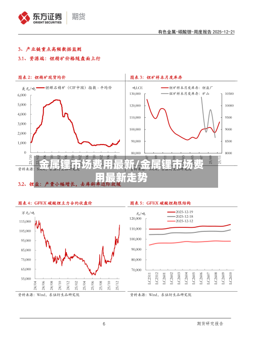 金属锂市场费用最新/金属锂市场费用最新走势