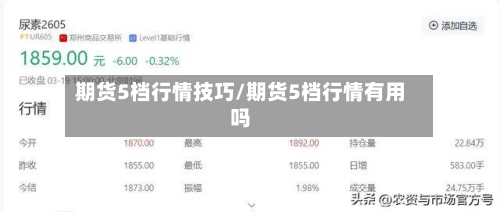 期货5档行情技巧/期货5档行情有用吗