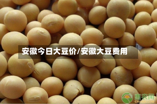 安徽今日大豆价/安徽大豆费用