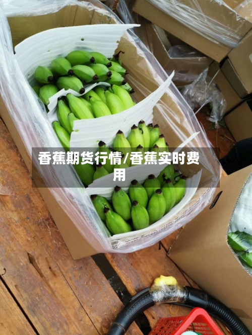 香蕉期货行情/香蕉实时费用-第3张图片
