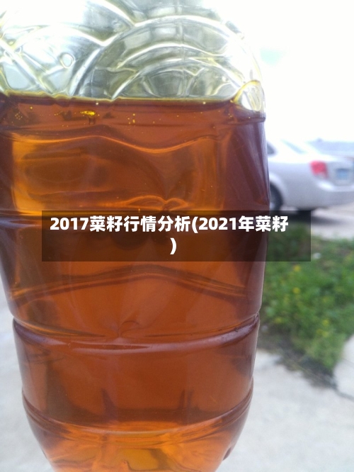 2017菜籽行情分析(2021年菜籽)-第2张图片