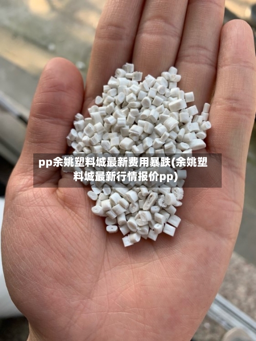 pp余姚塑料城最新费用暴跌(余姚塑料城最新行情报价pp)