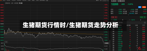 生猪期货行情时/生猪期货走势分析-第3张图片