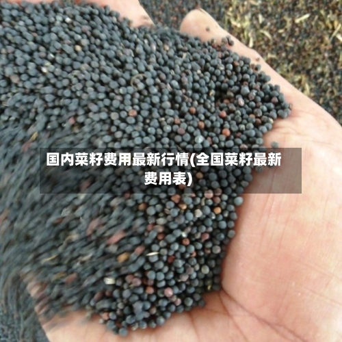 国内菜籽费用最新行情(全国菜籽最新费用表)