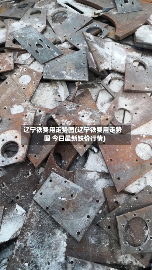 辽宁铁费用走势图(辽宁铁费用走势图 今日最新铁价行情)