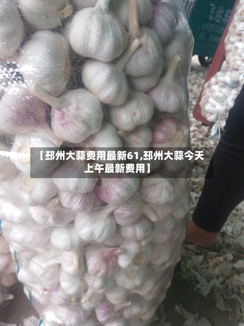 【邳州大蒜费用最新61,邳州大蒜今天上午最新费用】