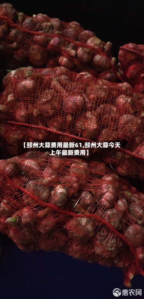【邳州大蒜费用最新61,邳州大蒜今天上午最新费用】-第2张图片