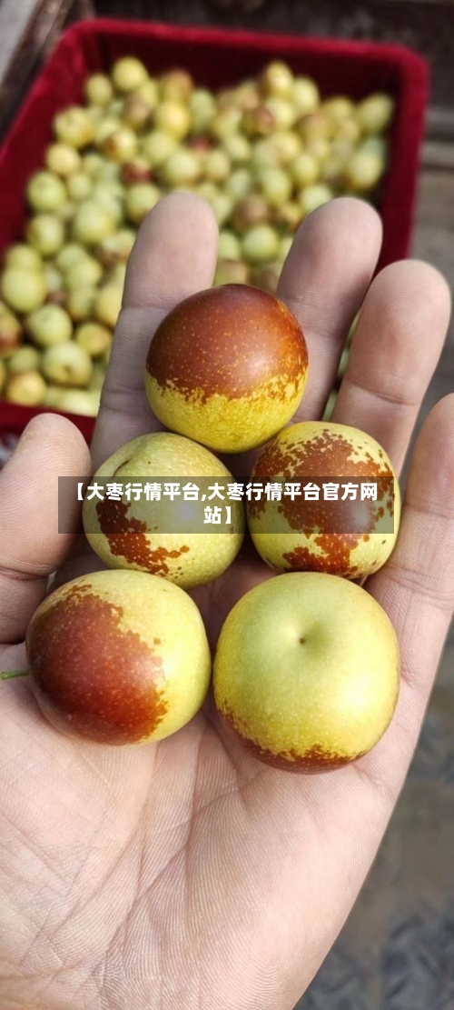 【大枣行情平台,大枣行情平台官方网站】-第2张图片