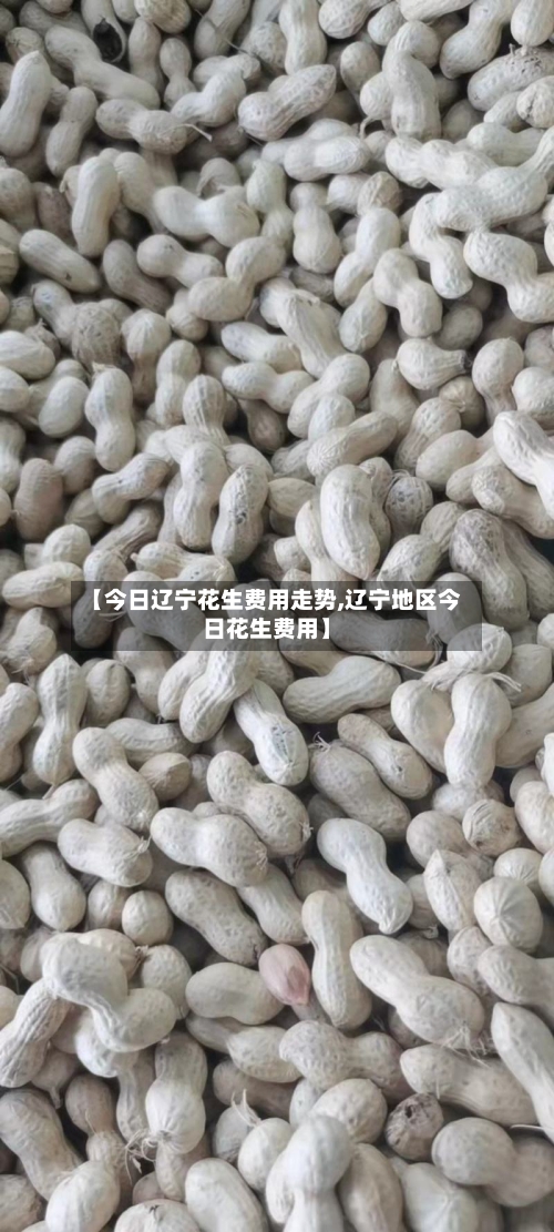 【今日辽宁花生费用走势,辽宁地区今日花生费用】-第3张图片