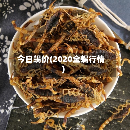 今日蝎价(2020全蝎行情)