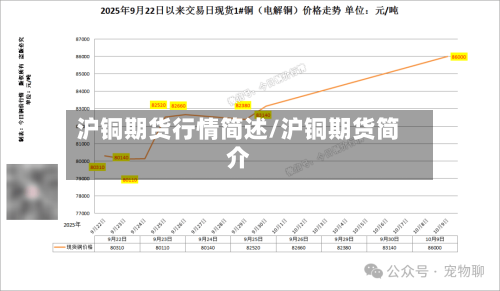 沪铜期货行情简述/沪铜期货简介-第2张图片