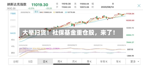 大举扫货！社保基金重仓股，来了！