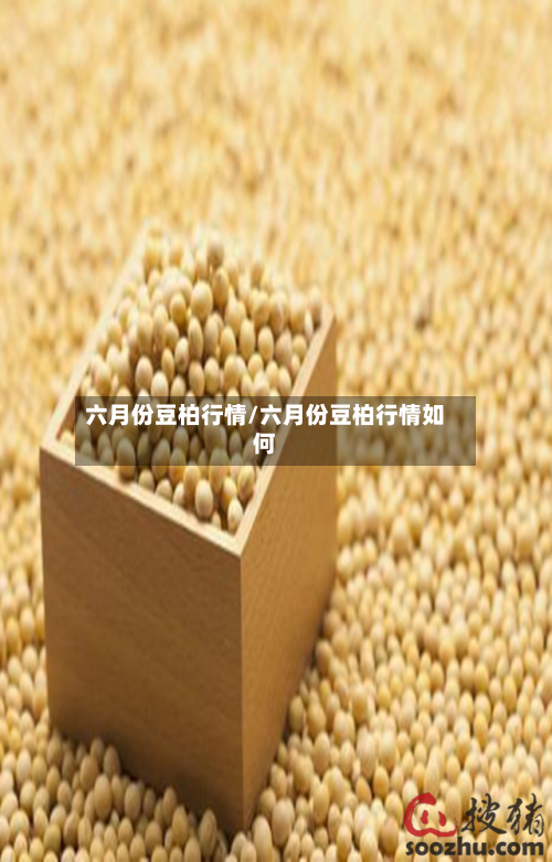 六月份豆柏行情/六月份豆柏行情如何-第3张图片