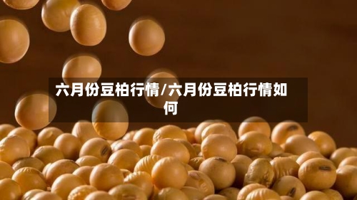六月份豆柏行情/六月份豆柏行情如何