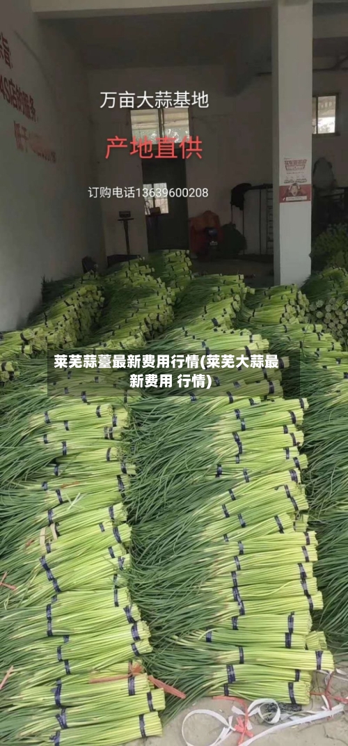 莱芜蒜薹最新费用行情(莱芜大蒜最新费用 行情)