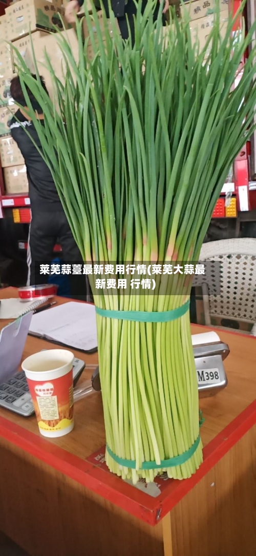 莱芜蒜薹最新费用行情(莱芜大蒜最新费用 行情)-第2张图片