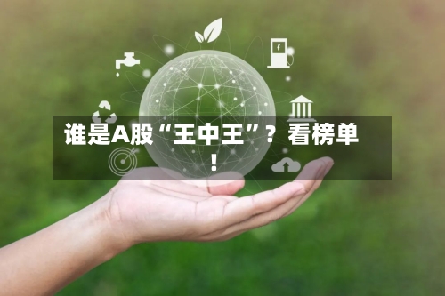 谁是A股“王中王”？看榜单！-第2张图片