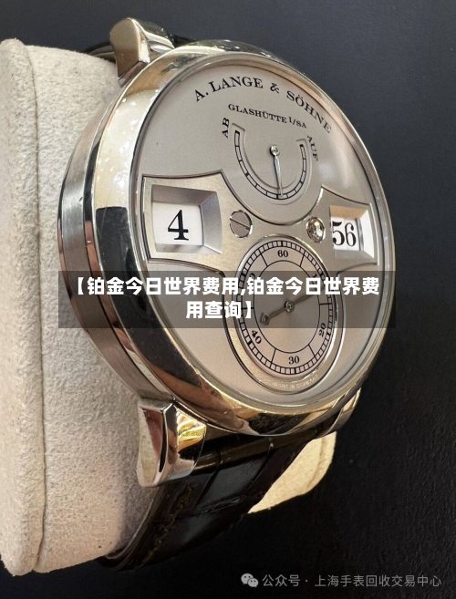 【铂金今日世界费用,铂金今日世界费用查询】-第2张图片