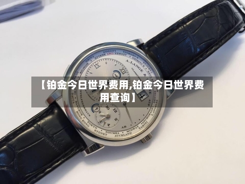 【铂金今日世界费用,铂金今日世界费用查询】
