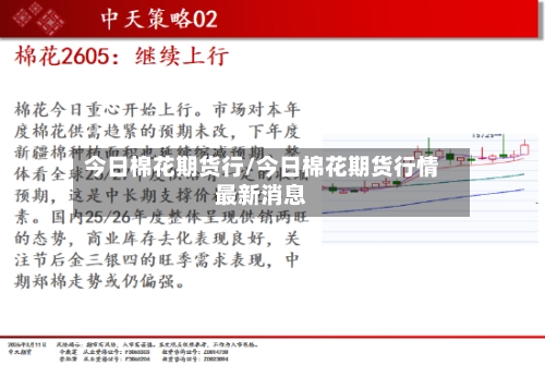 今日棉花期货行/今日棉花期货行情最新消息-第3张图片