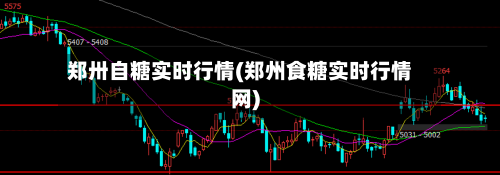 郑卅自糖实时行情(郑州食糖实时行情网)