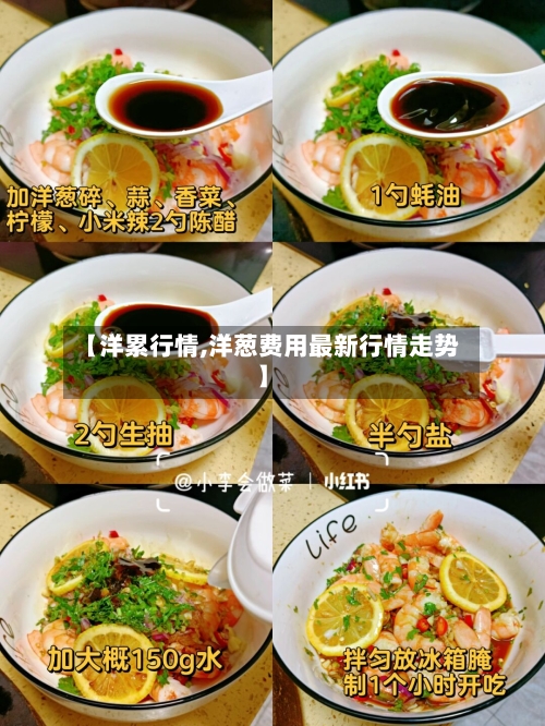 【洋累行情,洋葱费用最新行情走势】