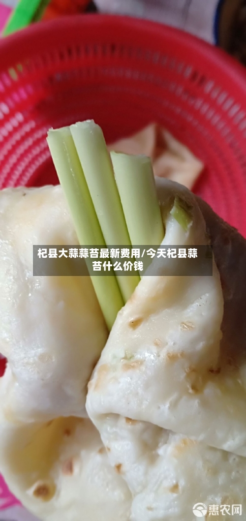 杞县大蒜蒜苔最新费用/今天杞县蒜苔什么价钱-第3张图片