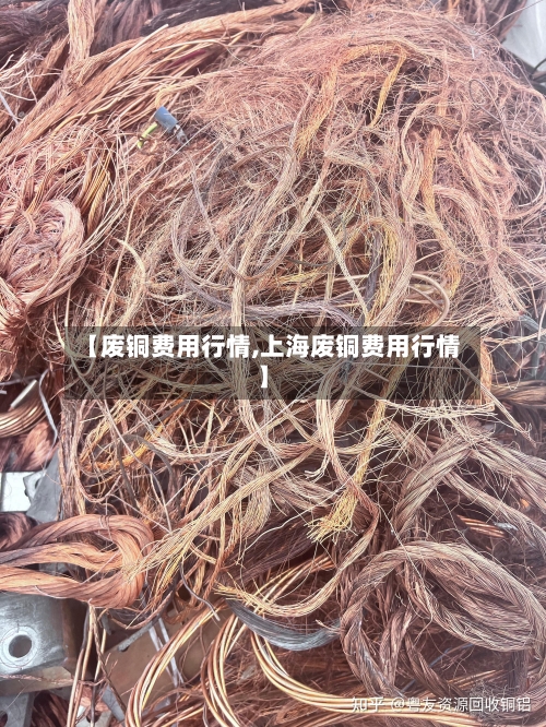 【废铜费用行情,上海废铜费用行情】-第3张图片