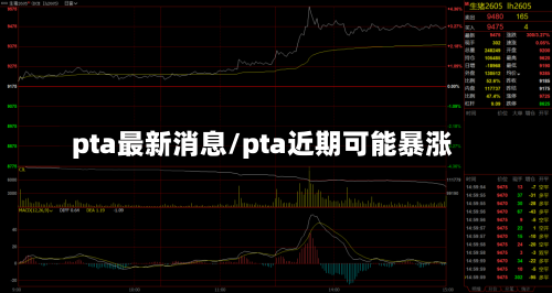 pta最新消息/pta近期可能暴涨