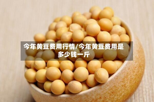 今年黄豆费用行情/今年黄豆费用是多少钱一斤