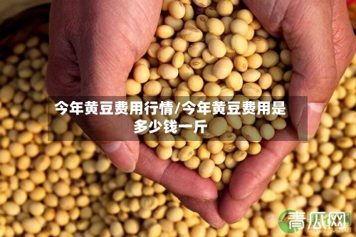 今年黄豆费用行情/今年黄豆费用是多少钱一斤-第2张图片