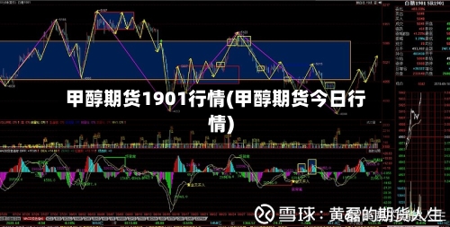 甲醇期货1901行情(甲醇期货今日行情)-第2张图片