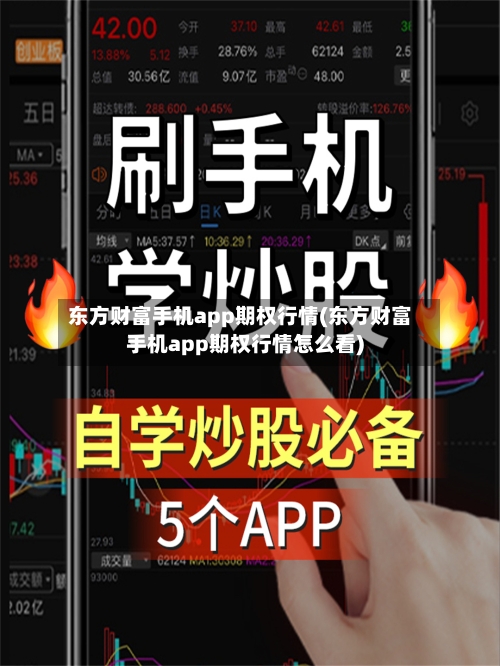 东方财富手机app期权行情(东方财富手机app期权行情怎么看)-第2张图片