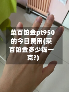 菜百铂金pt950的今日费用(菜百铂金多少钱一克?)-第2张图片