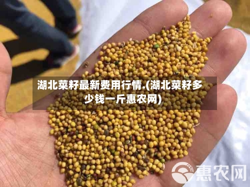 湖北菜籽最新费用行情.(湖北菜籽多少钱一斤惠农网)