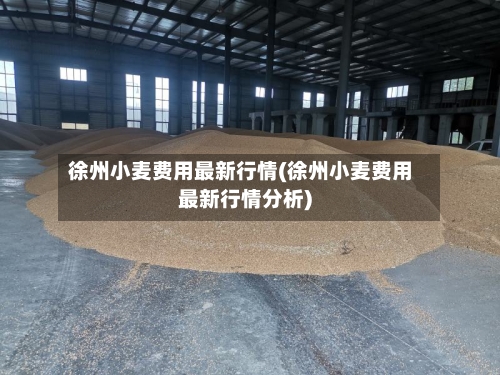 徐州小麦费用最新行情(徐州小麦费用最新行情分析)