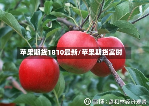 苹果期货1810最新/苹果期货实时-第2张图片