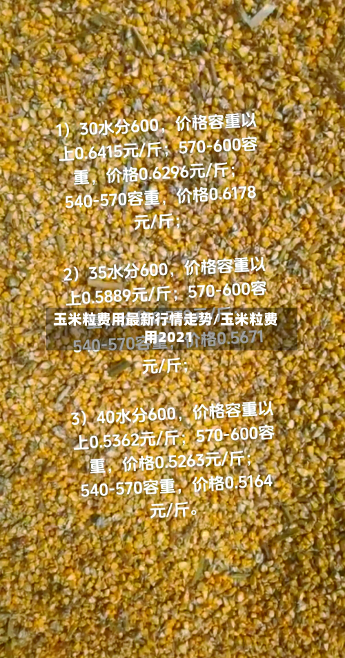 玉米粒费用最新行情走势/玉米粒费用2021